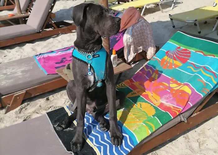 Quarto em Acomodações Particulares Desire Korinós